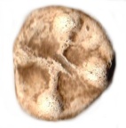 cross16