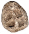cross36
